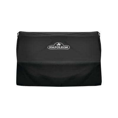 Napoleon Built-in Propane...