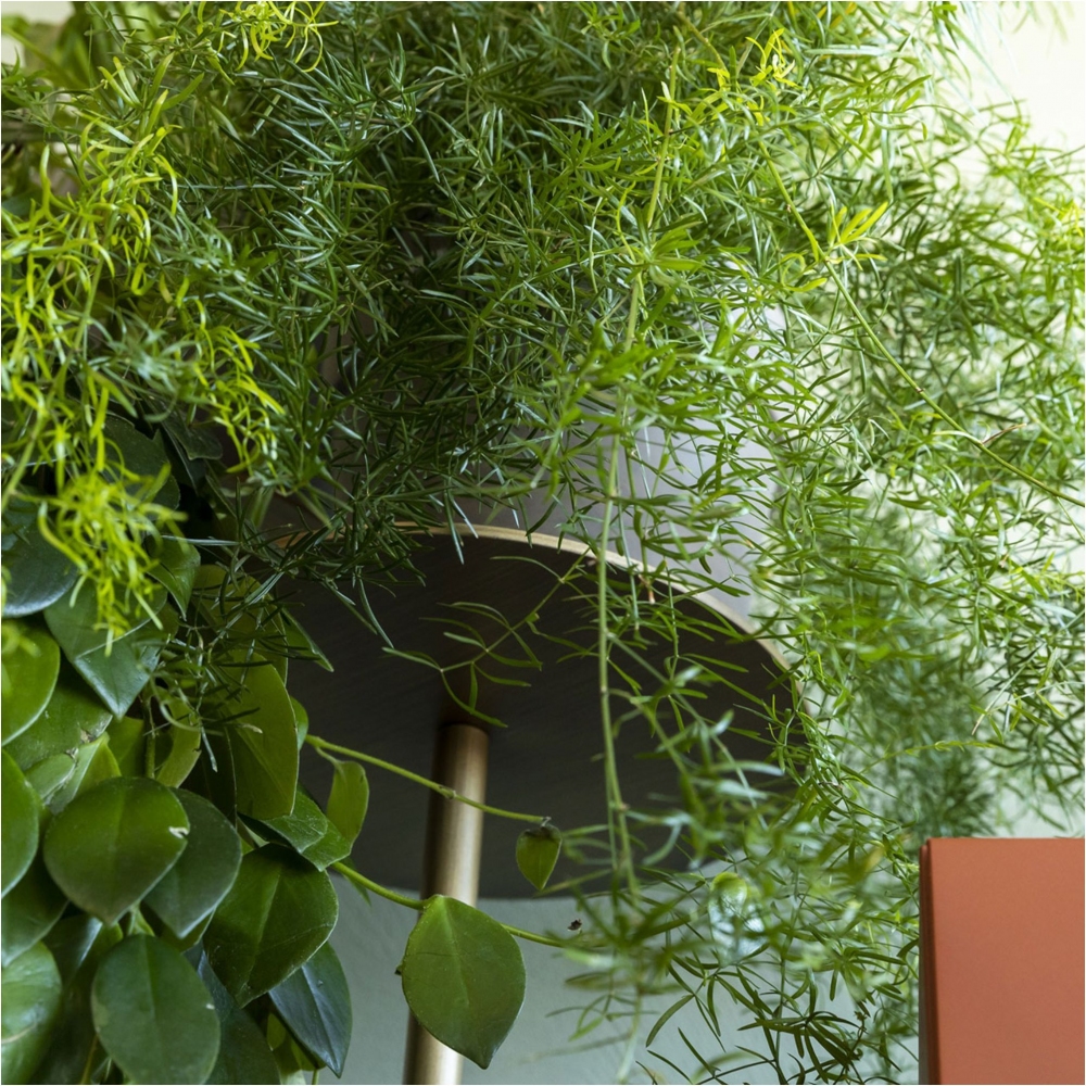 Mogg Credenza Ikebana - Telaio in metallo a destra