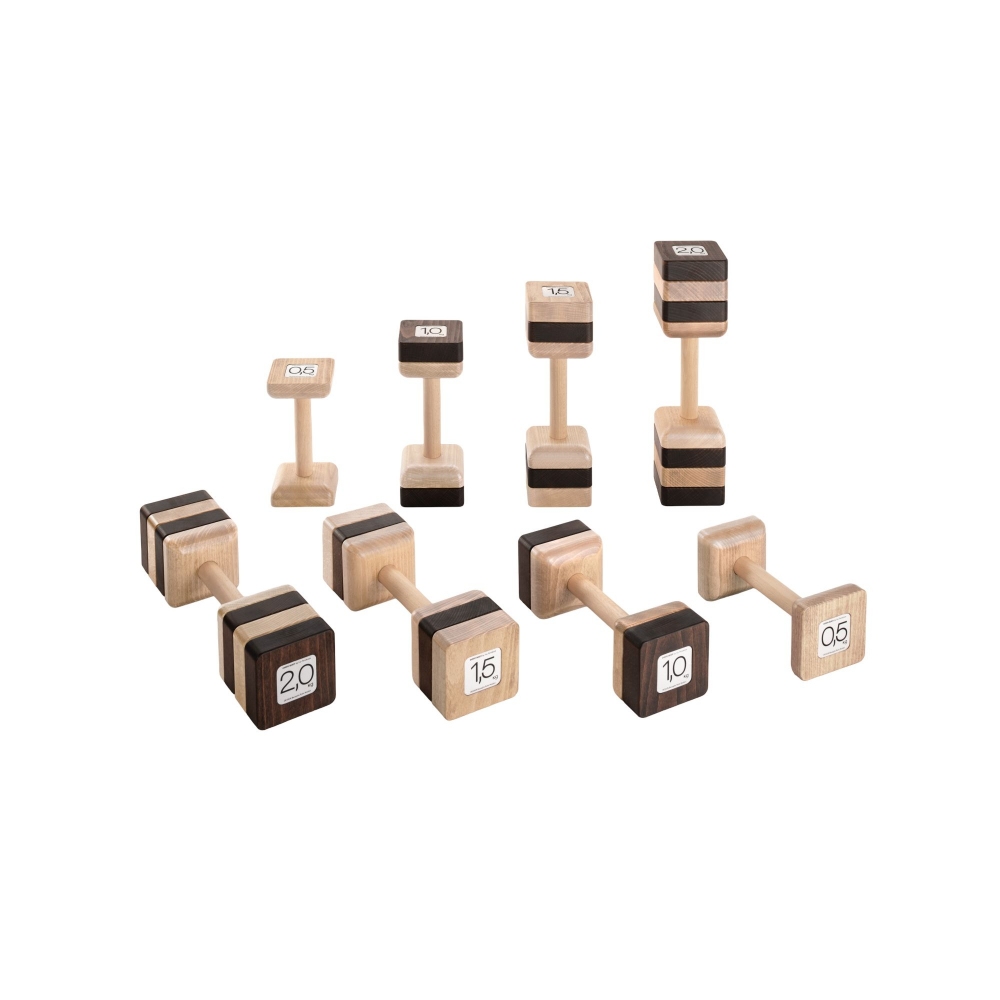 FAS Pendezza Attic 8 Weights Kit