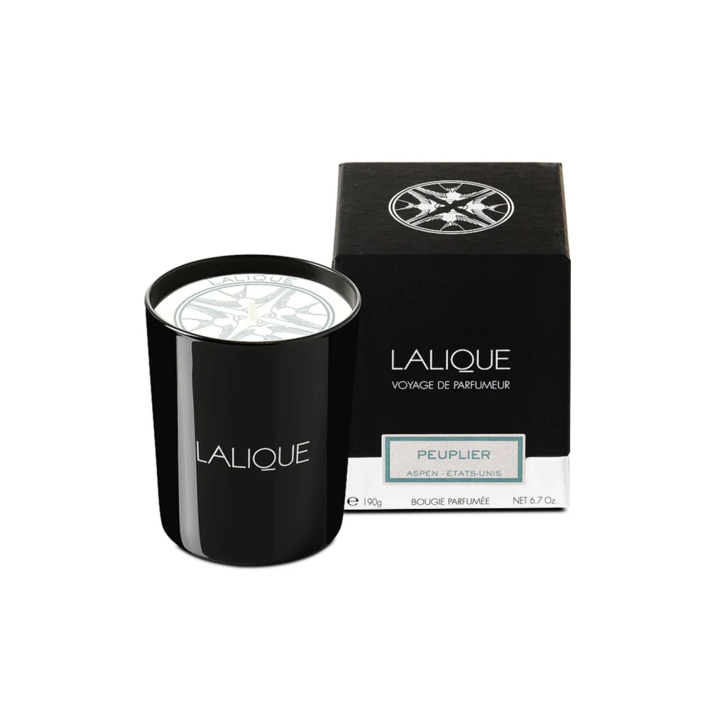 Lalique Candela profumata Poplar...