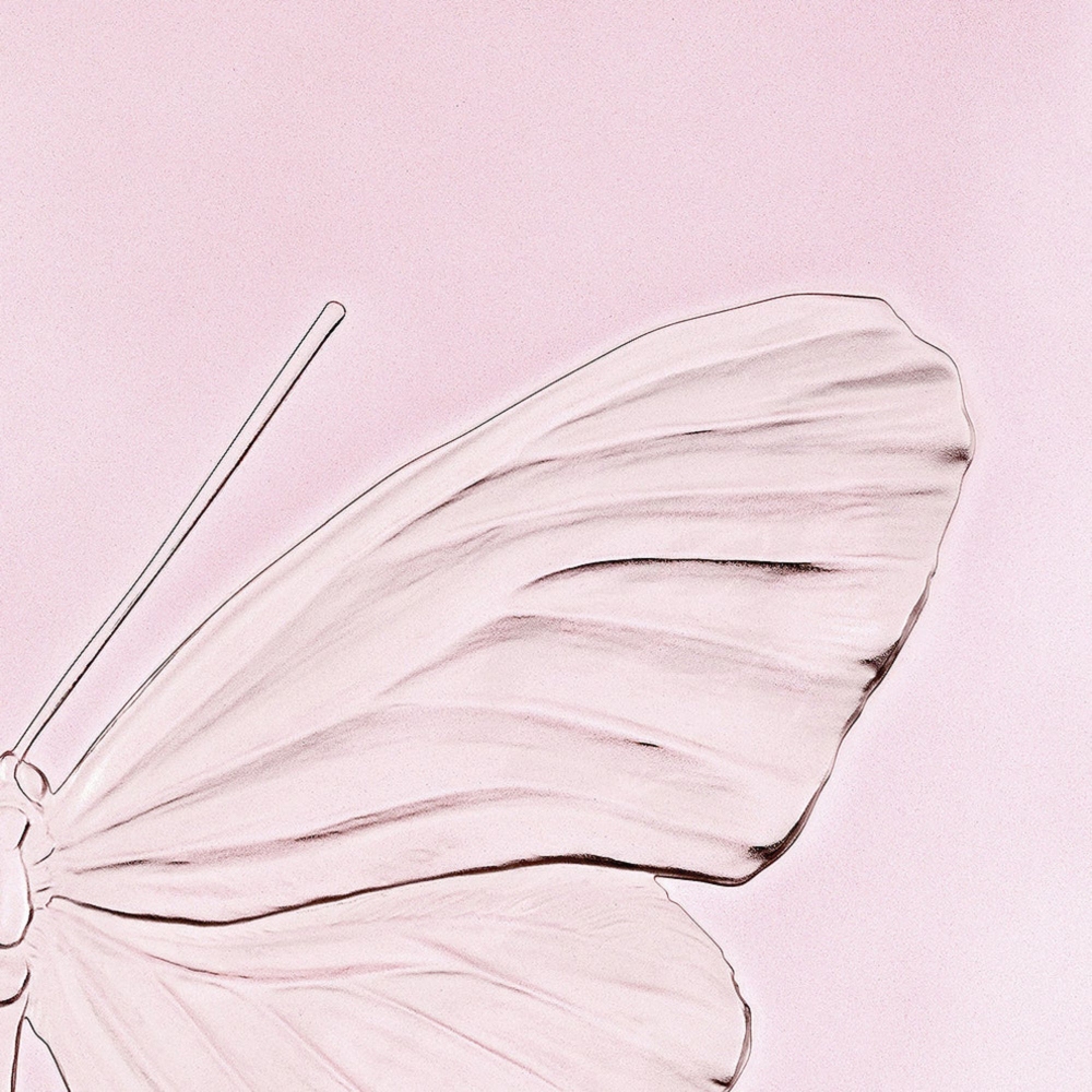 Lalique Eternal Hope Decorative Crystal Panel - Limited and Numbered Edition