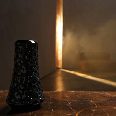 Lalique Vaso in cristallo... 2