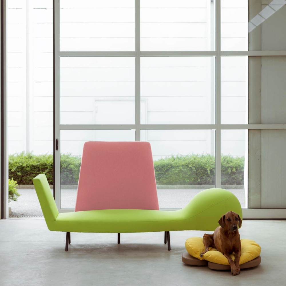 Campeggi Canispè Chaise longue with doghouse