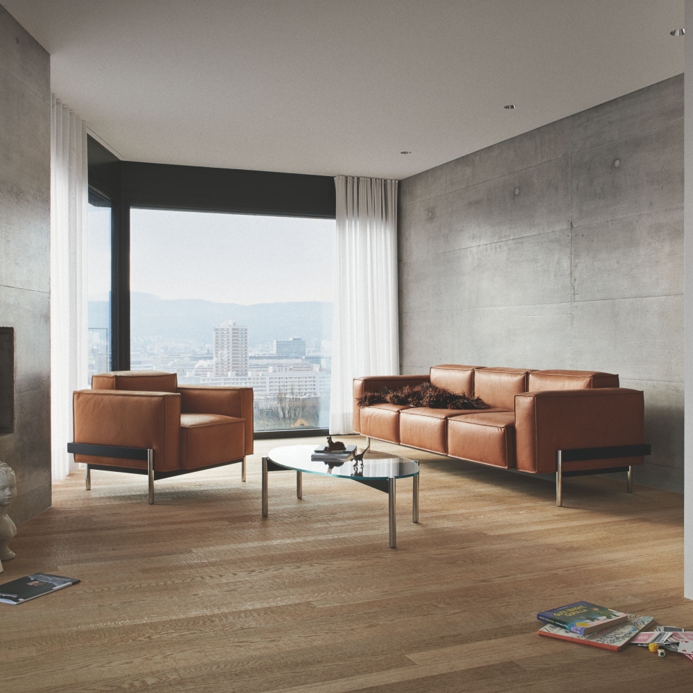 de Sede Poltrona DS-21