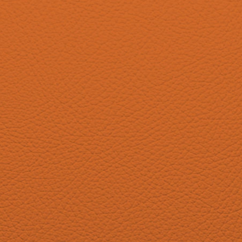 de Sede Divano DS-21/02